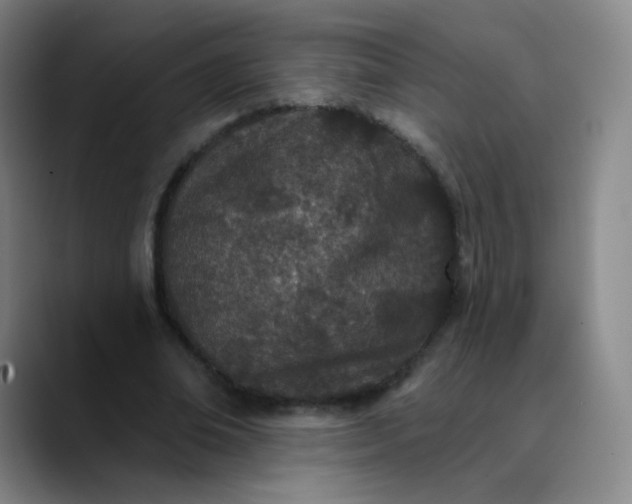 X0000089900678200707121850