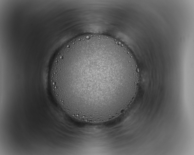 X0000089900679200707121850
