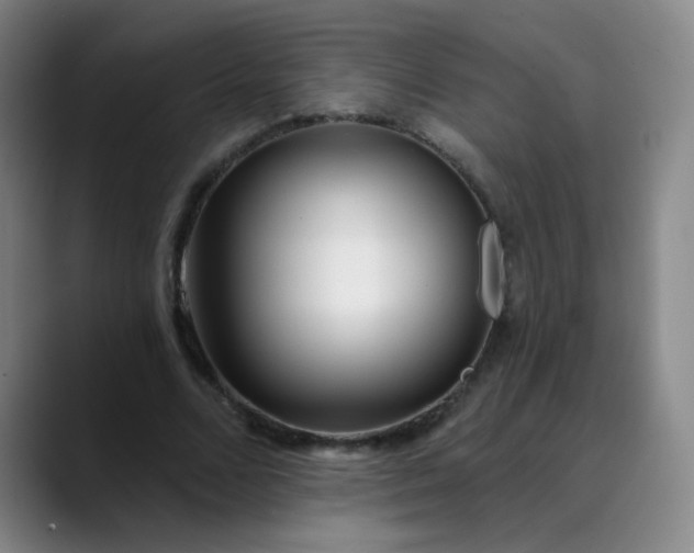 X0000089900680200707121850