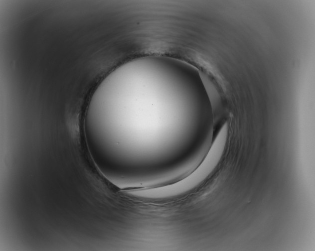X0000089900681200707121850