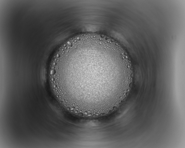 X0000089900683200707121850