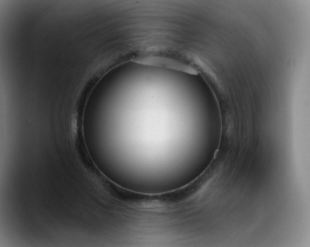 X0000089900685200707121850