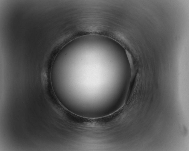 X0000089900688200707121850