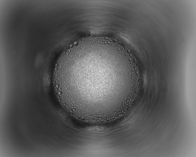 X0000089900691200707121850