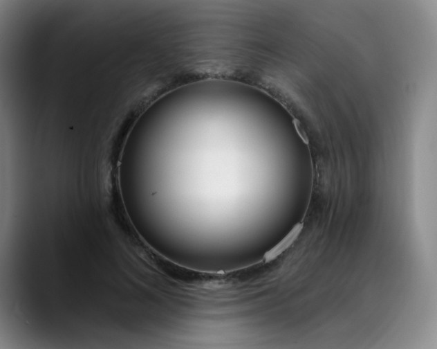 X0000089900692200707121850