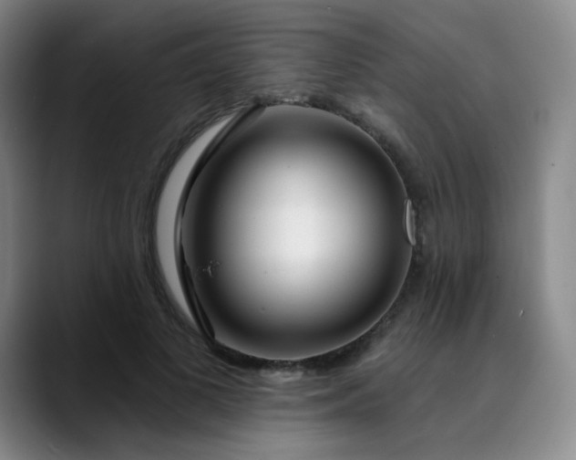 X0000089900693200707121850