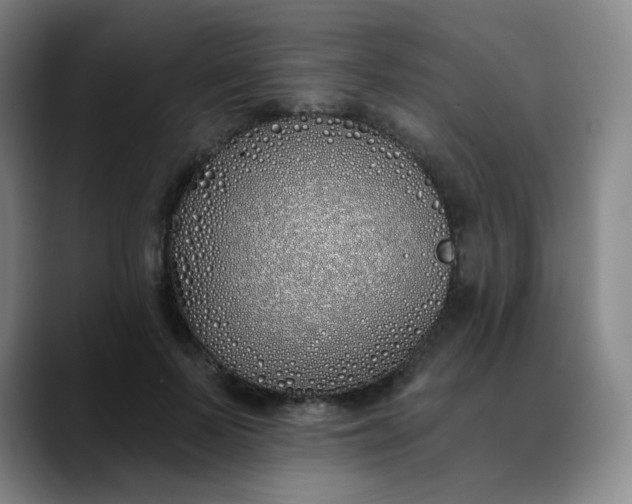 X0000089900695200707121850