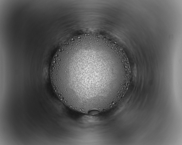 X0000089900699200707121849