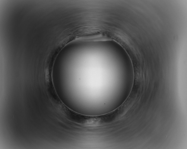 X0000089900700200707121849