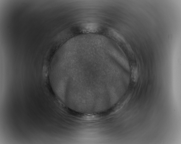 X0000089900701200707121849