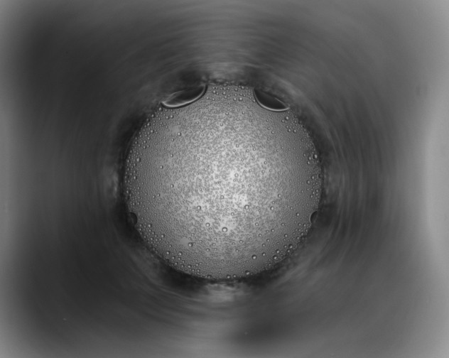 X0000089900703200707121849