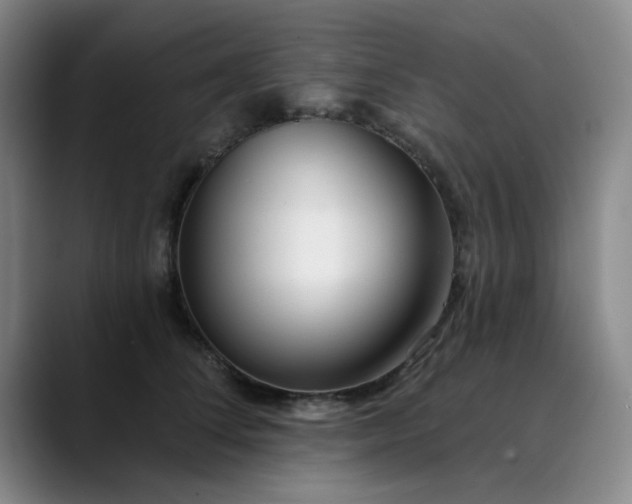 X0000089900708200707121849
