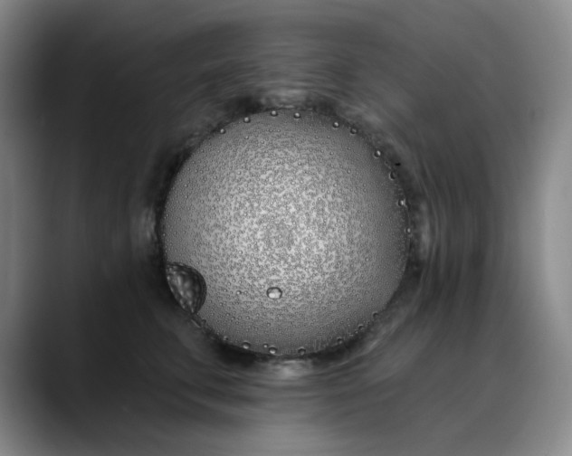 X0000089900711200707121849