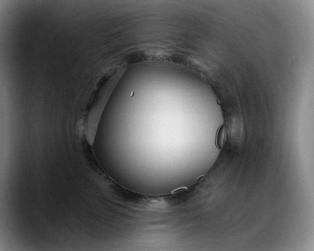 X0000089900715200707121849