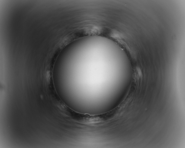 X0000089900716200707121849