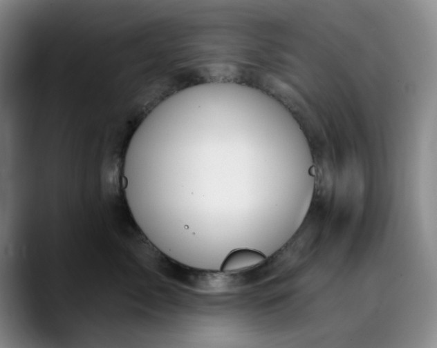 X0000089900717200707121849