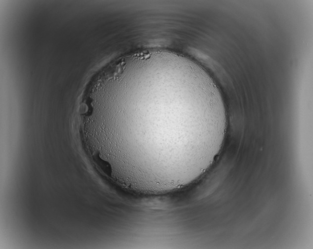 X0000089900721200707121849