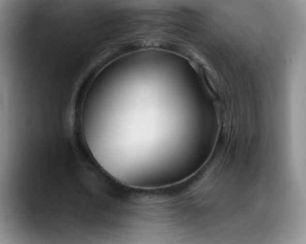 X0000089900722200707121849