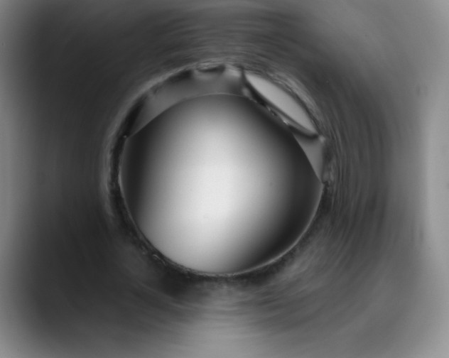 X0000089900724200707121849
