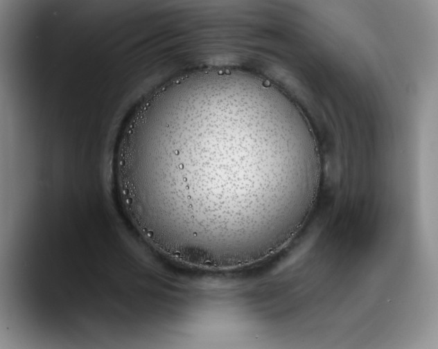 X0000089900725200707121849