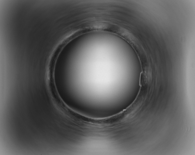 X0000089900726200707121849