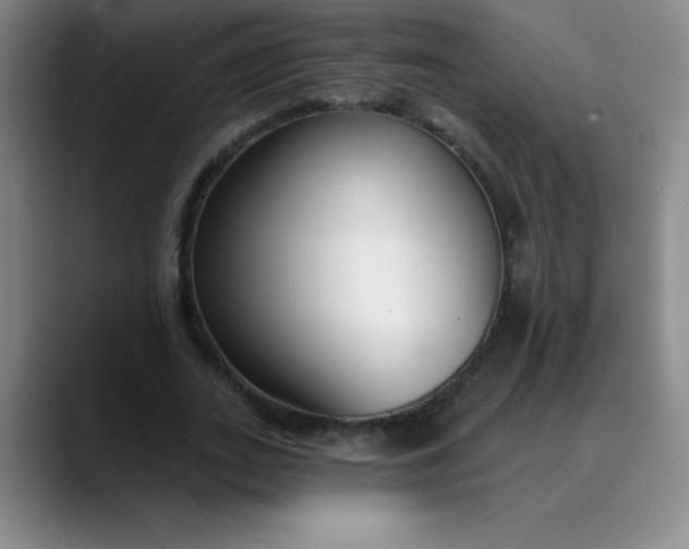 X0000089900727200707121849