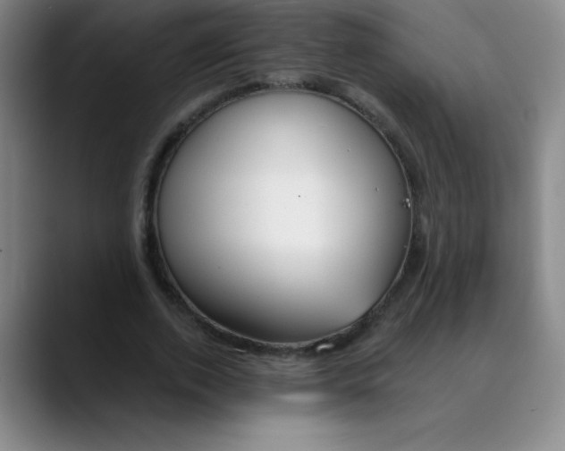 X0000089900728200707121849