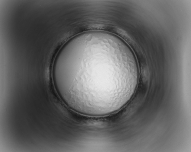 X0000089900729200707121849