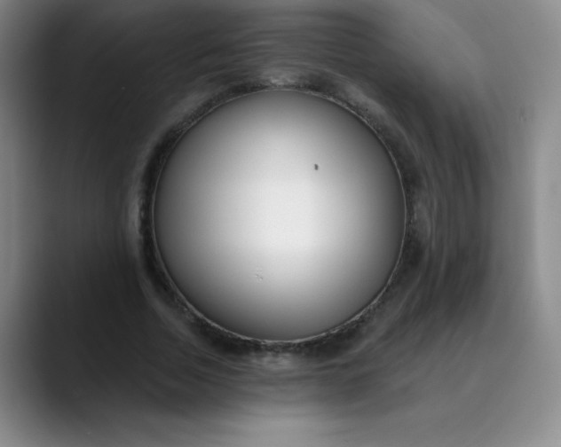 X0000089900730200707121849