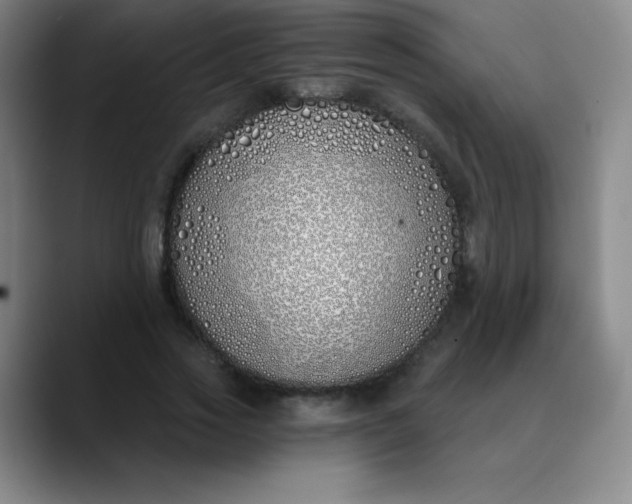 X0000089900733200707121849