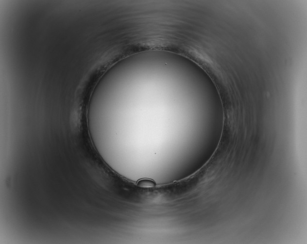 X0000089900735200707121849