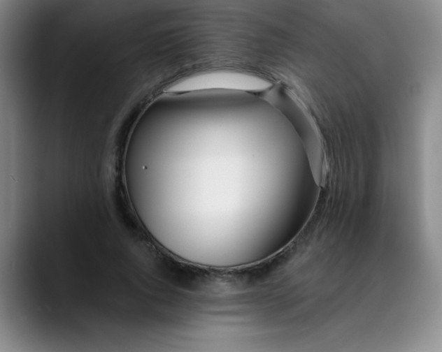 X0000089900736200707121849