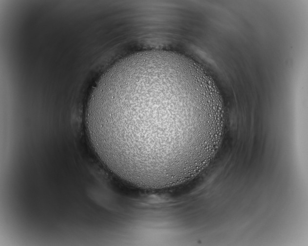 X0000089900737200707121849