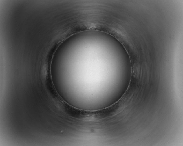 X0000089900740200707121849