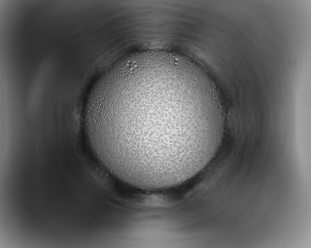 X0000089900741200707121849