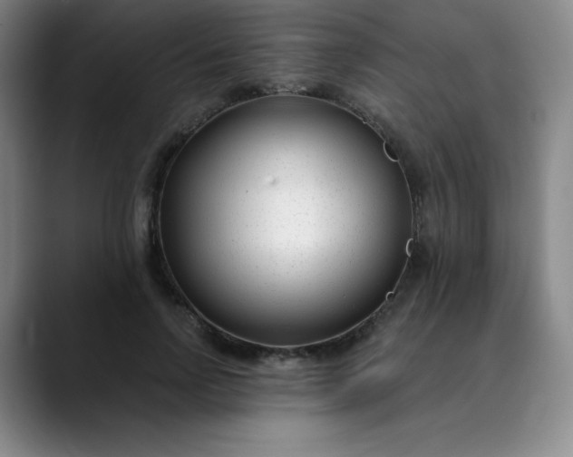 X0000089900742200707121849