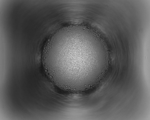X0000089900745200707121849
