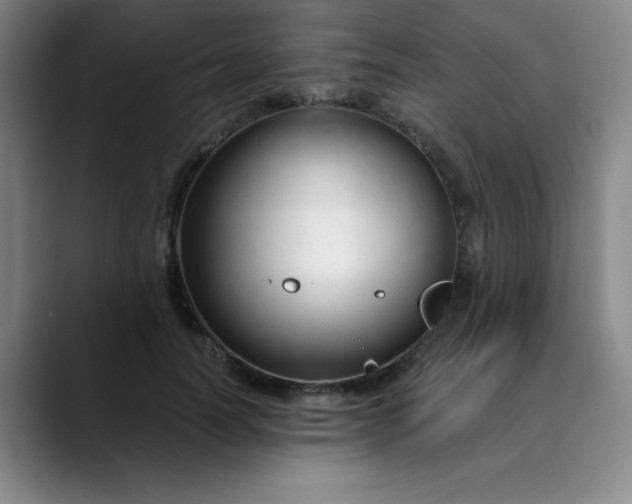 X0000089900746200707121849