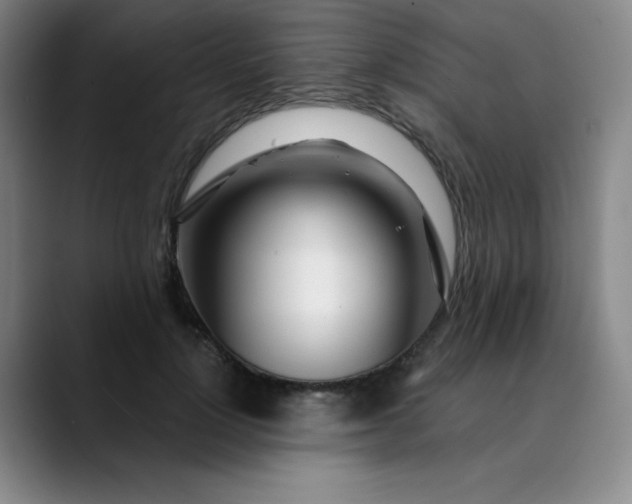 X0000089900748200707121849