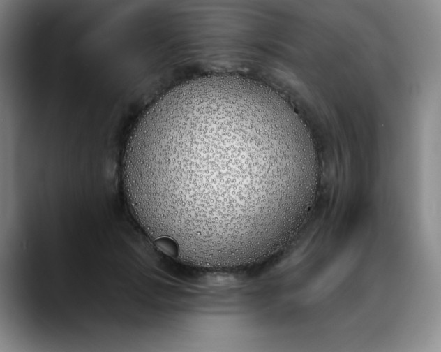 X0000089900749200707121849