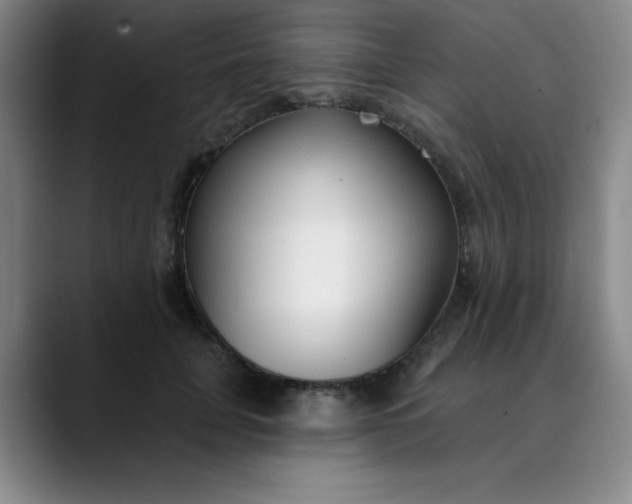 X0000089900751200707121849