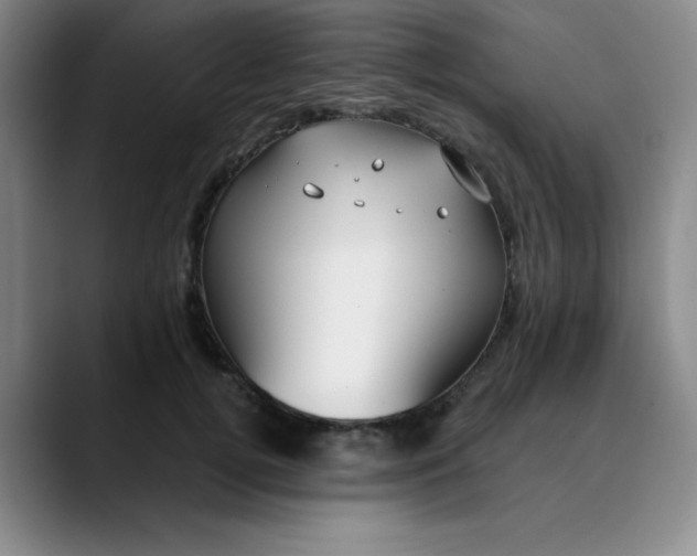 X0000089900752200707121849