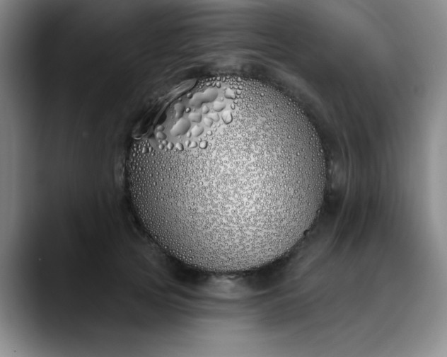 X0000089900753200707121849