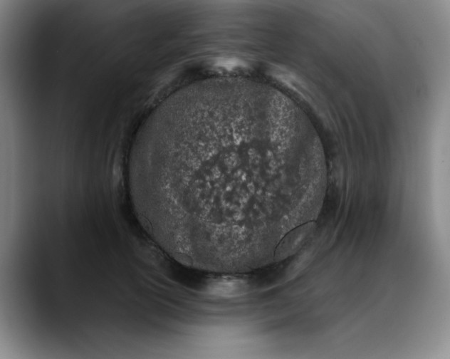 X0000089900754200707121849