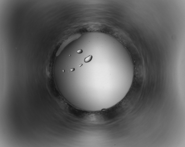 X0000089900755200707121849