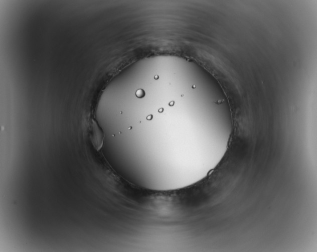 X0000089900756200707121849