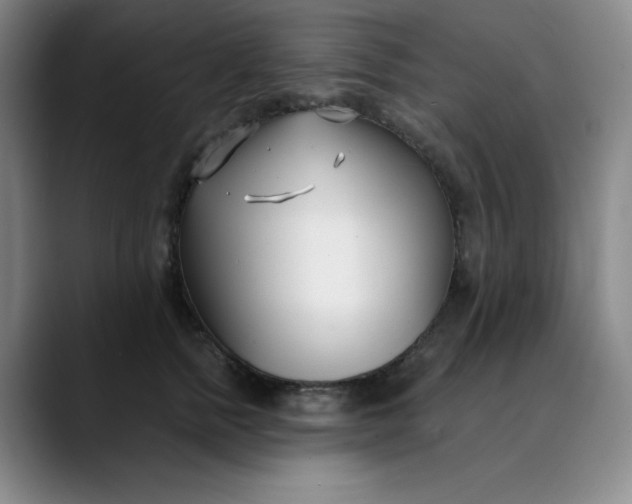 X0000089900758200707121849