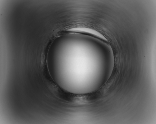 X0000089900760200707121849