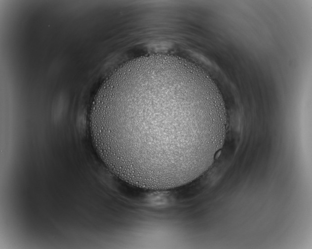 X0000089900761200707121849