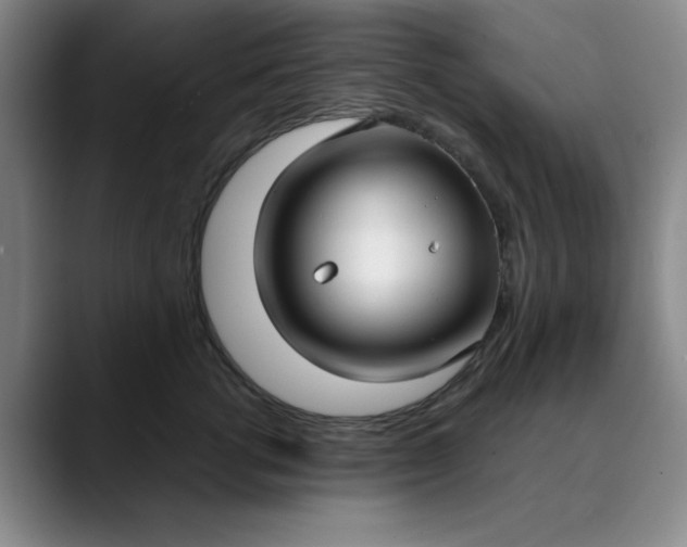 X0000089900762200707121849